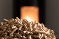 Modern domestic pellet stove, granules stove with flames Royalty Free Stock Photo