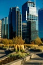 Modern Downtown view taken from near by park. calgary, Canada - october, 2019