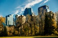 Modern Downtown view taken from near by park. calgary, Canada - october, 2019