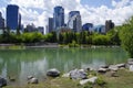 Modern Downtown view taken from the park, Alberta Canada.