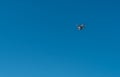 Modern Drone with camera flying on blue sky Royalty Free Stock Photo