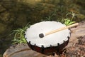 Modern drum and drumstick on stump outdoors. Percussion musical instrument Royalty Free Stock Photo