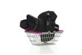 Camera and lens in a shopping basket Royalty Free Stock Photo