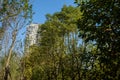 Modern dwelling building behind woods in sunny winter morning