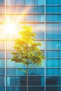 Modern eco friendly glass office building integrated with trees in urban sustainable architecture Royalty Free Stock Photo