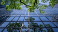 Modern eco friendly glass office building with trees in urban sustainable green environment Royalty Free Stock Photo