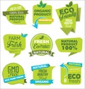 Modern ECO and NATURAL origami sale stickers and tags green collection Royalty Free Stock Photo