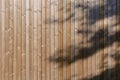 Modern ecological wooden facade backdrop with tree shadow