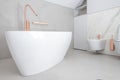 Modern Elegant Bathtub and Bathroom Interior