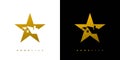 Modern and luxury home star logo design