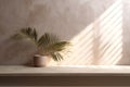 Modern empty pastel brown concrete counter table top in sunlight, palm leaf shadow on stucco texture wall. 3d rendering. Royalty Free Stock Photo