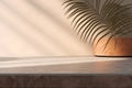 Modern empty pastel brown concrete counter table top in sunlight, palm leaf shadow on stucco texture wall. 3d rendering. Royalty Free Stock Photo