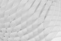 Modern energy abstract background, pattern of thin light grey curved lines, crossing, grid on white color.