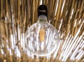 Modern energy-saving filament led bulb in a house with a thatched roof, modern technology, ecology concept Royalty Free Stock Photo