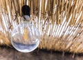 Modern energy-saving filament led bulb in a house with a thatched roof, modern technology, ecology concept Royalty Free Stock Photo