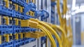 Data Center Connectivity Exploring High-Speed Network Infrastructure and Cable Management Solutions for Modern Enterprises Witness