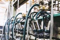 Equipment for automated milking of cows in a dairy