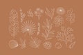 Modern exotic floral elements collection. Outlined leaves and flowers. Vector illustrations