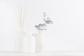 Modern exquisite decoration for home interior - aromatherapy white bottles with sticks, ceramic vase, silver leaves on white wood