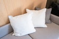 Modern fabric pillows on gray cloth sofa interior in living room decoration Royalty Free Stock Photo