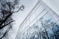 Modern facade detail with tree reflection