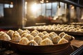 Modern factory producing fresh dumplings Royalty Free Stock Photo