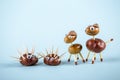 Modern family concept. Children and parents made of an natural horse chestnut and oak tree acorns. Royalty Free Stock Photo