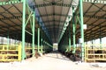 Cattle shelter Royalty Free Stock Photo