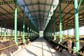 Cattle shelter Royalty Free Stock Photo