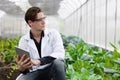 Modern farmer man using tablet computer to monitor develop plant growth rate concept