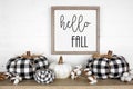 Modern farmhouse shelf display with buffalo plaid pumpkins and hello fall sign