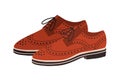Modern fashion oxford shoes with flat sole. Trendy footwear decorated with eyelet tabs. Colored vector illustration