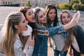 Modern female friendship. Social communication Royalty Free Stock Photo