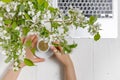 Modern feminine workplace concept. Laptop, coffee, beautiful apple tree flowers  on the white table, top view Royalty Free Stock Photo