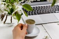 Modern feminine workplace concept. Laptop, coffee, beautiful apple tree flowers  on the white table, top view Royalty Free Stock Photo