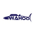 Modern fish Wahoo logo. Vector illustration.