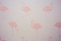Modern Flamingo lovers background pink texture design Royalty Free Stock Photo