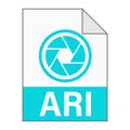 Modern flat design of ARI file icon for web