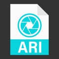 Modern flat design of ARI file icon for web