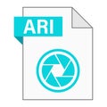 Modern flat design of ARI file icon for web