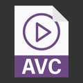 Modern flat design of AVC file icon for web Royalty Free Stock Photo
