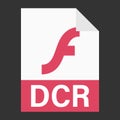 Modern flat design of DCR file icon for web