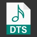 Modern flat design of DTS file icon for web Royalty Free Stock Photo