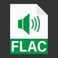 Modern flat design of FLAC file icon for web
