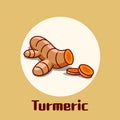 Modern flat design of turmeric for healthy and cosmetics products