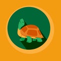 Modern Flat Design Turtle