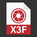 Modern flat design of X3F file icon for web Royalty Free Stock Photo
