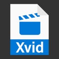 Modern flat design of Xvid illustration file icon for web Royalty Free Stock Photo