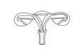 Modern flat line Female Reproductive System vector icon. Uterus with fallopian tubes, ovaries, cervix and vagina