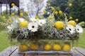 Modern floral arrangement with white gerbera flowers and lemon f Royalty Free Stock Photo